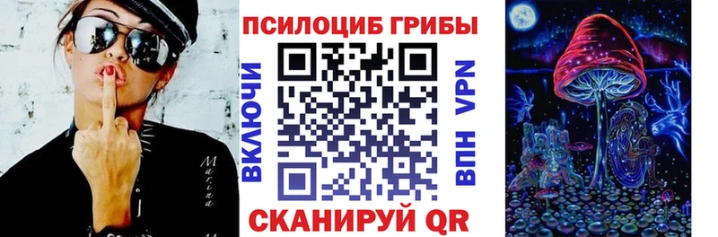 сколько стоит  KRAKEN ТОР  Галлюциногенные грибы Psilocybe  Гремячинск 