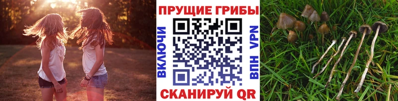 Галлюциногенные грибы прущие грибы Гремячинск